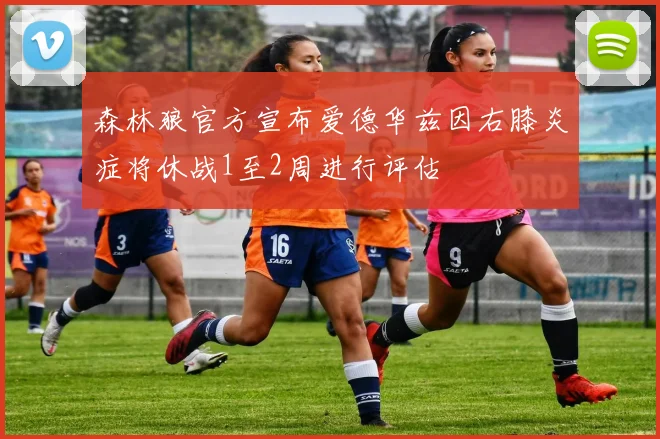 森林狼官方宣布爱德华兹因右膝炎症将休战1至2周进行评估