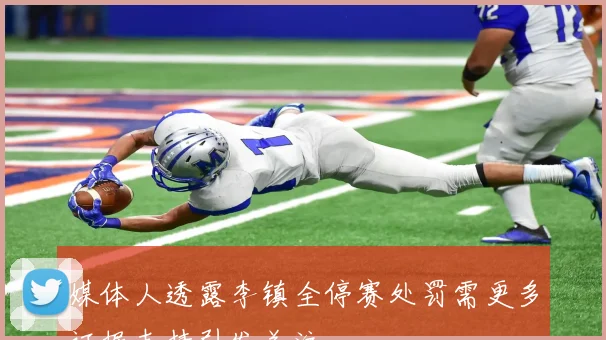 媒体人透露李镇全停赛处罚需更多证据支持引发关注