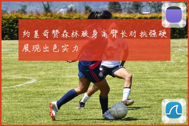 约基奇赞森林狼身高臂长对抗强硬展现出色实力